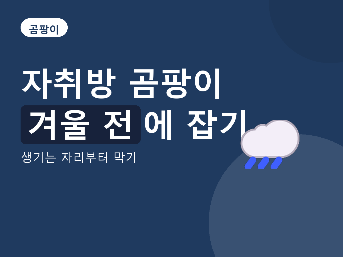 곰팡이 - 생기는 자리부터 막기