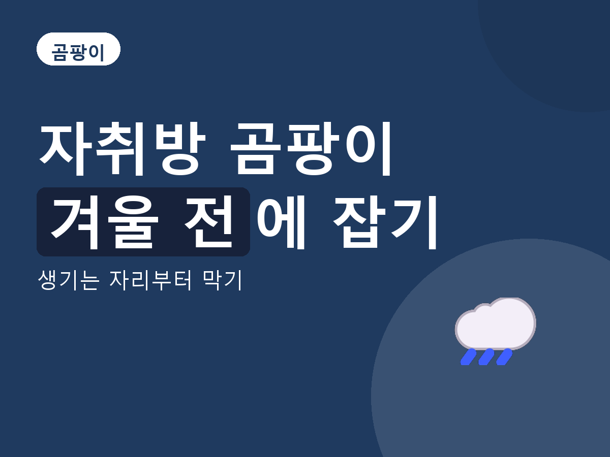 곰팡이 - 생기는 자리부터 막기